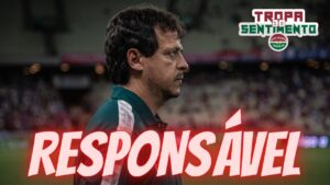 O FLUMINENSE E O FUTEBOL BRASILEIRO MUDARAM E O DINIZ É O RESPONSÁVEL POR ISSO