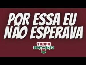 O FLUMINENSE ME SURPREENDEU DE UMA FORMA QUE EU NÃO ESPERAVA